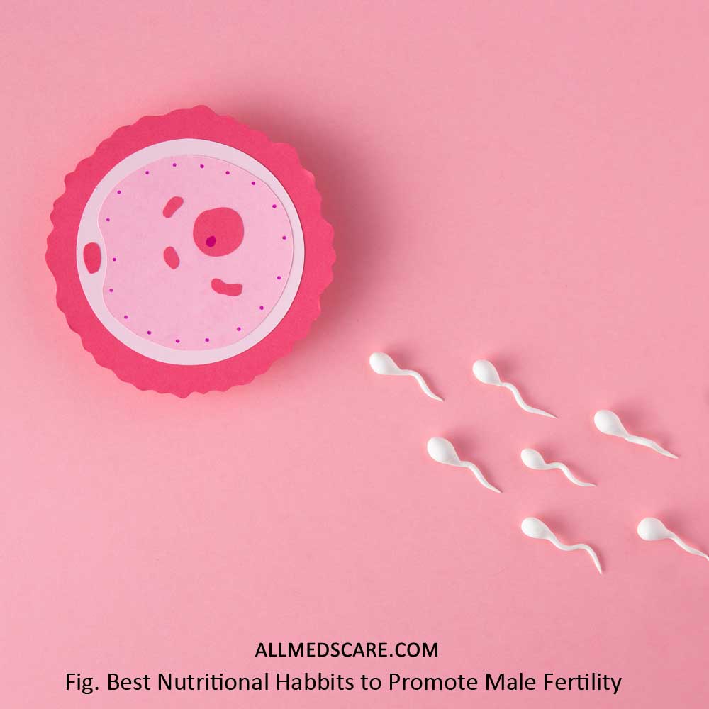 Fertility Foods For Men: The Ultimate Guide to Testosterone Health - Allmedscare.com