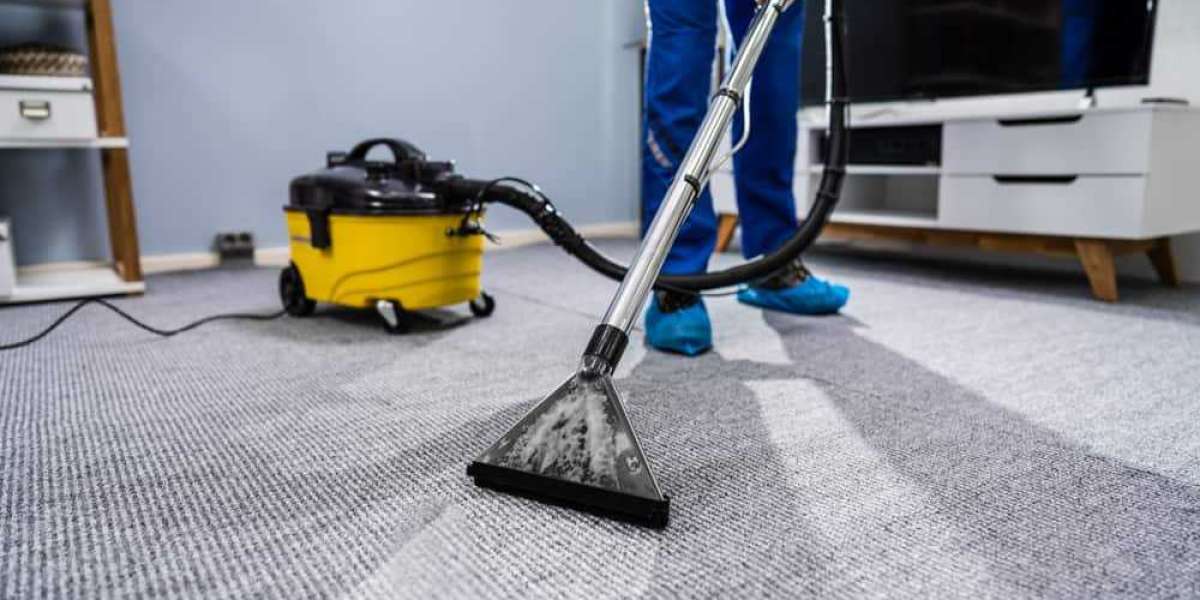 Revitalize Your Home with Top Carpet Cleaning Services in Toronto