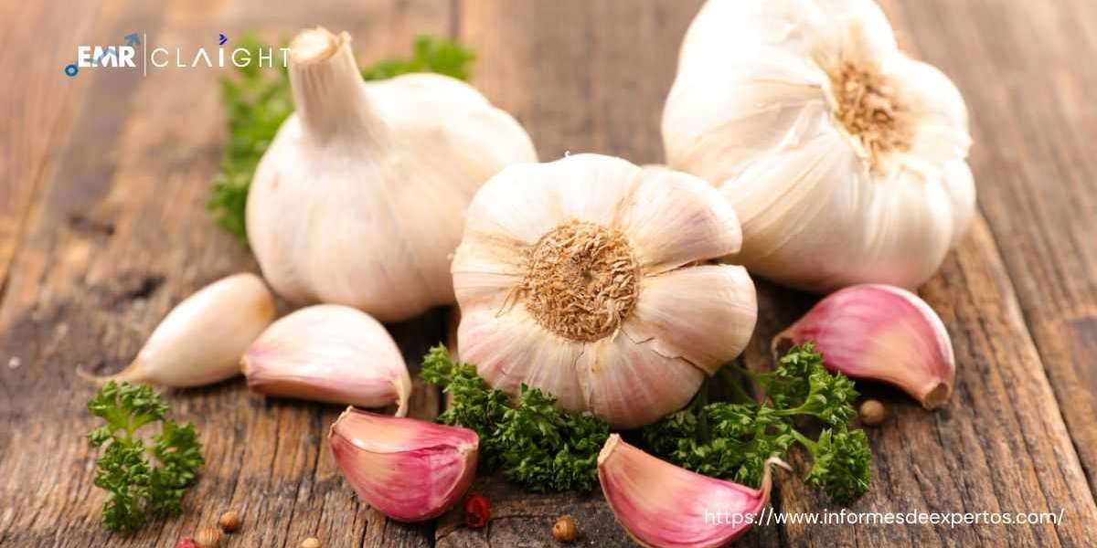 Garlic Market: Cultivation, Trends, and Future Outlook
