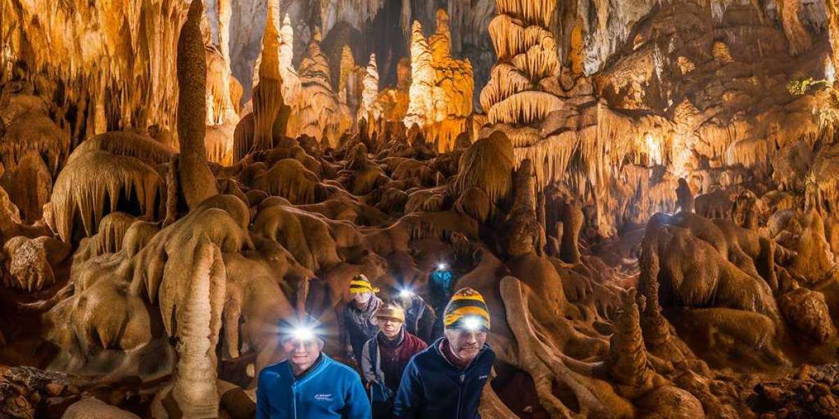 Exploring the Marvels of Cango Caves in South Africa