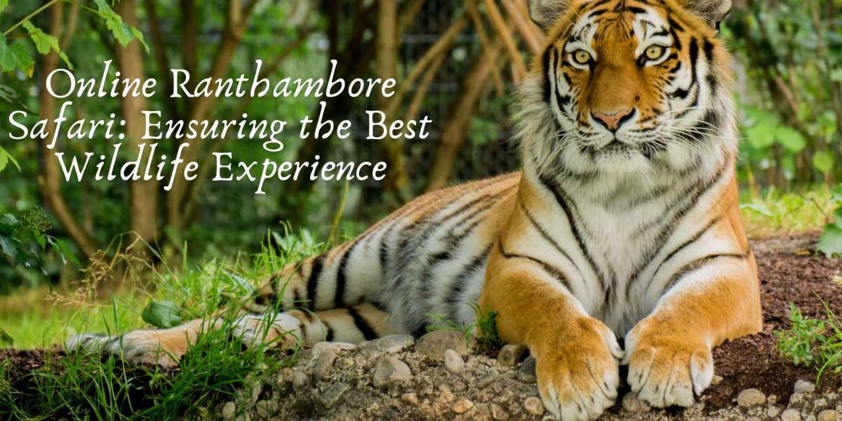 Online Ranthambore Safari: Ensuring the Best Wildlife Experience