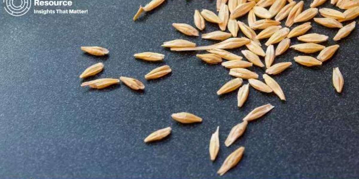 Malted Barley Production Process with Cost Analysis: An In-Depth Report by Procurement Resource
