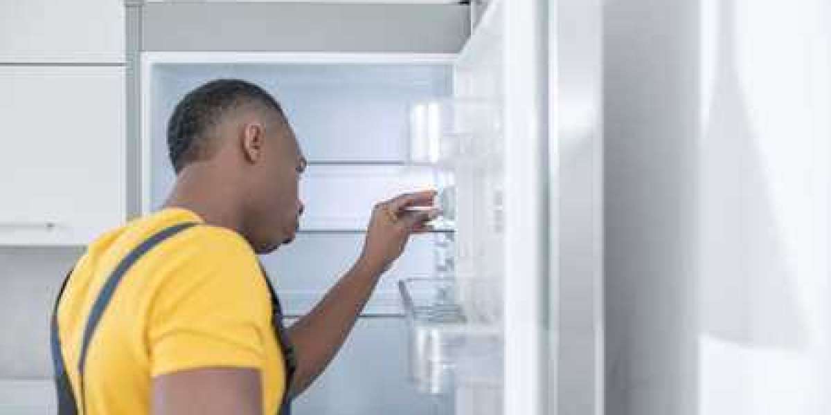 DIY vs. Professional Refrigerator Repair: What’s Best for You?
