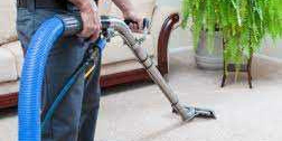 Why Every Home Needs Regular Professional Carpet Cleaning