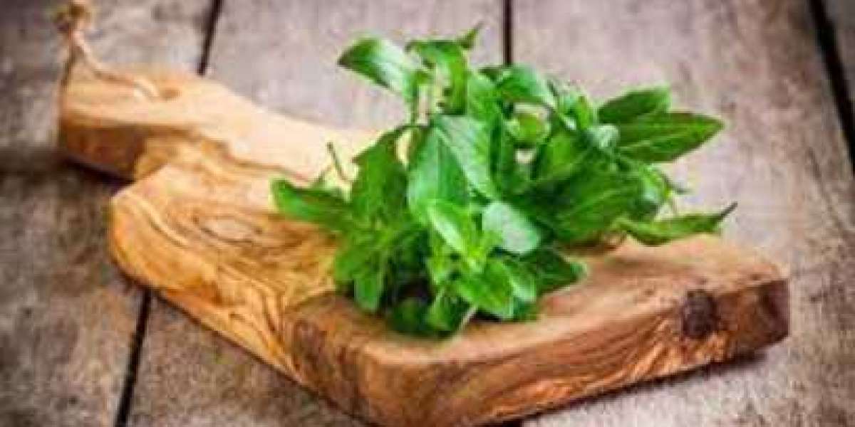 Is Basil Leaves Good For Male Fertility?