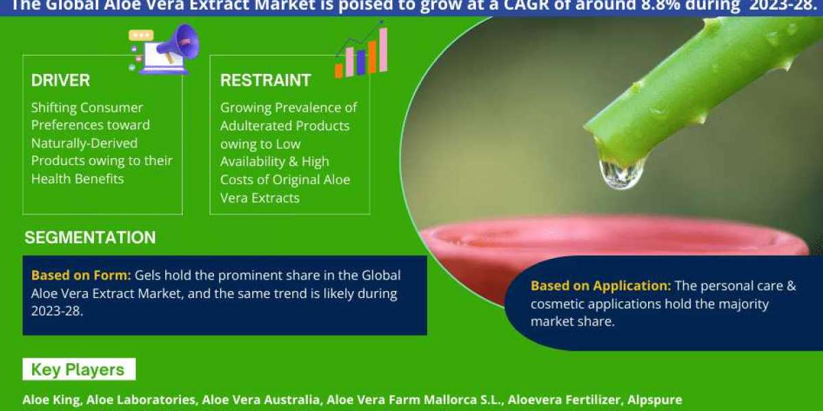 Aloe Vera Extract Market 2028 | Business Strategies and Opportunities with Key Players Analysis