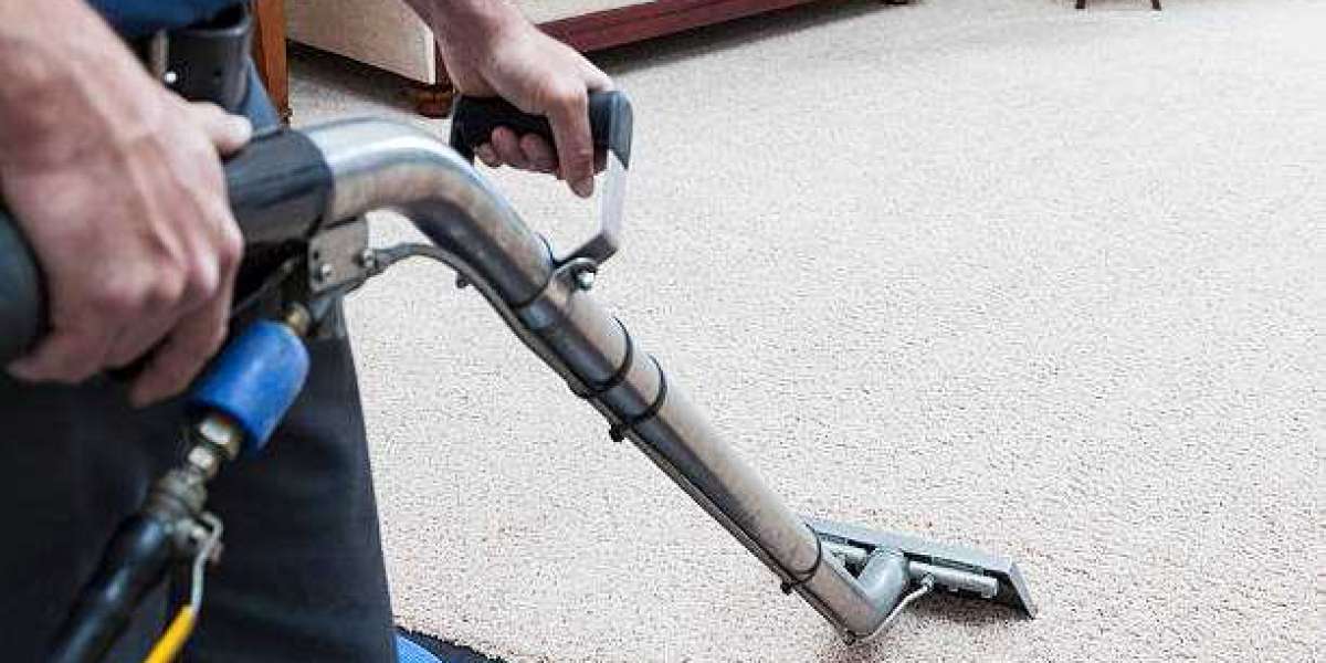 The Top Reasons to Schedule Regular Carpet Cleaning Services