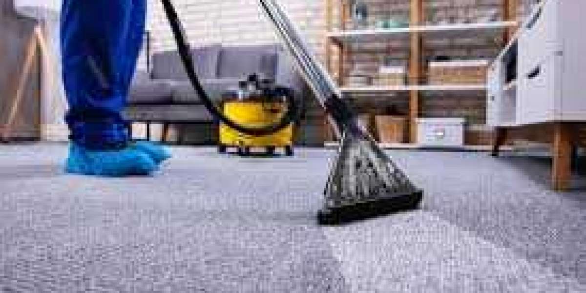 How Professional Carpet Cleaning Enhances Your Carpet's Durability