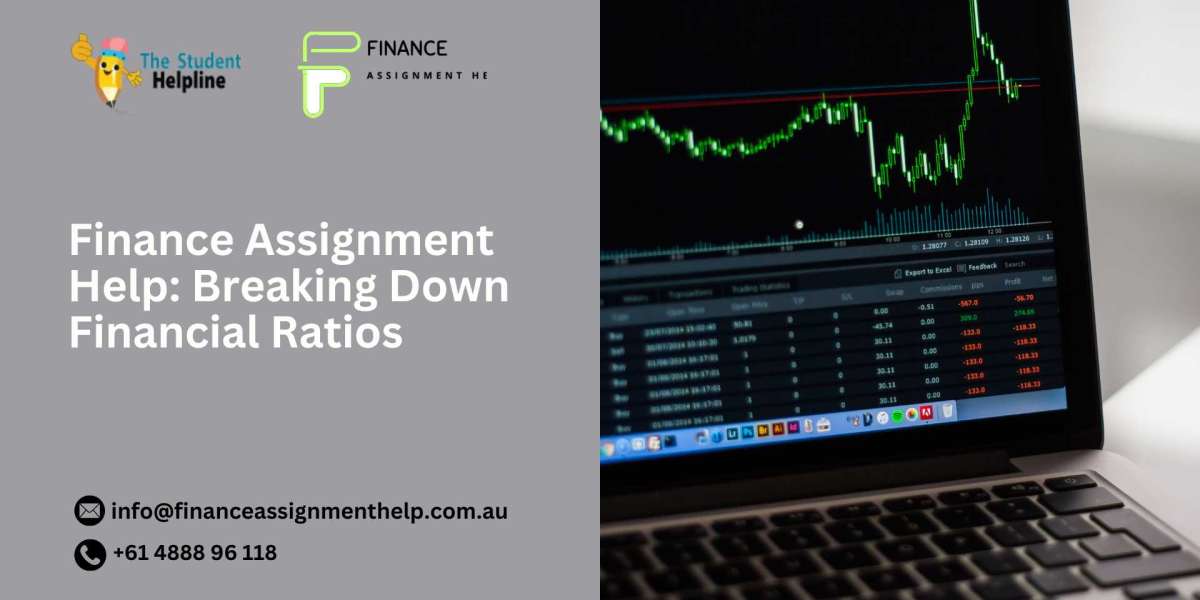 Finance Assignment Help: Breaking Down Financial Ratios