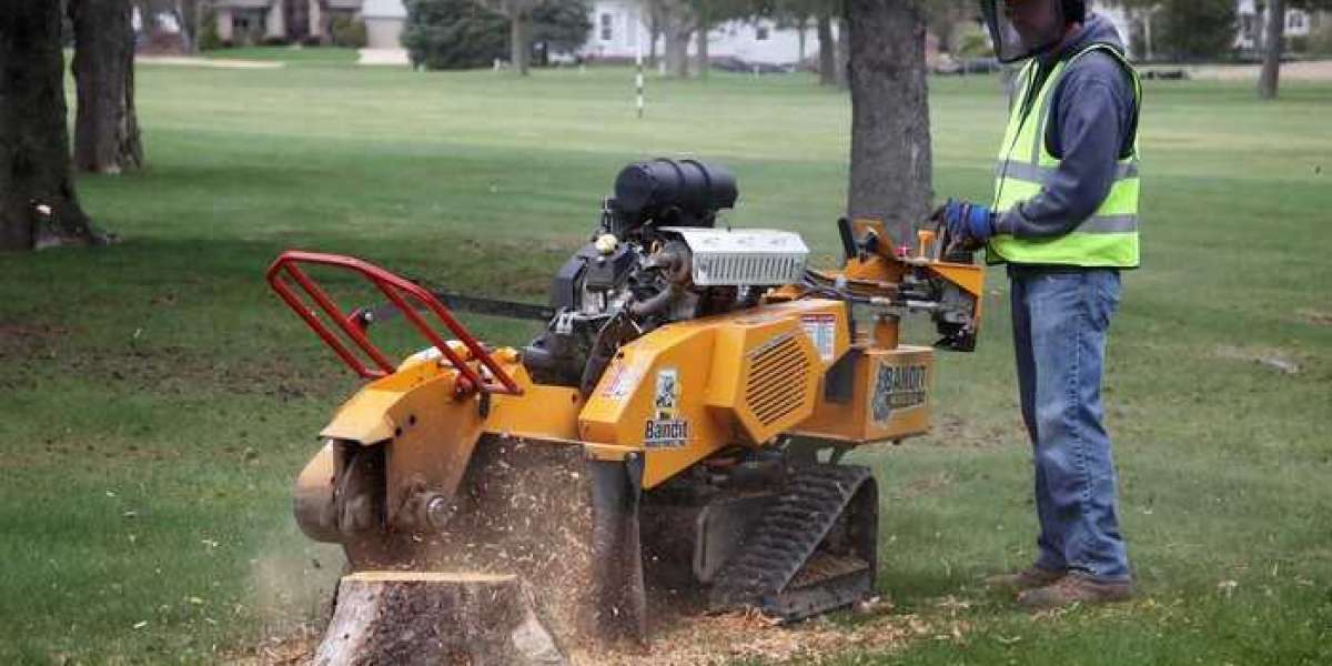 Revitalize Your Yard with Expert Stump Grinding Services