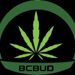 BCBUD Profile Picture