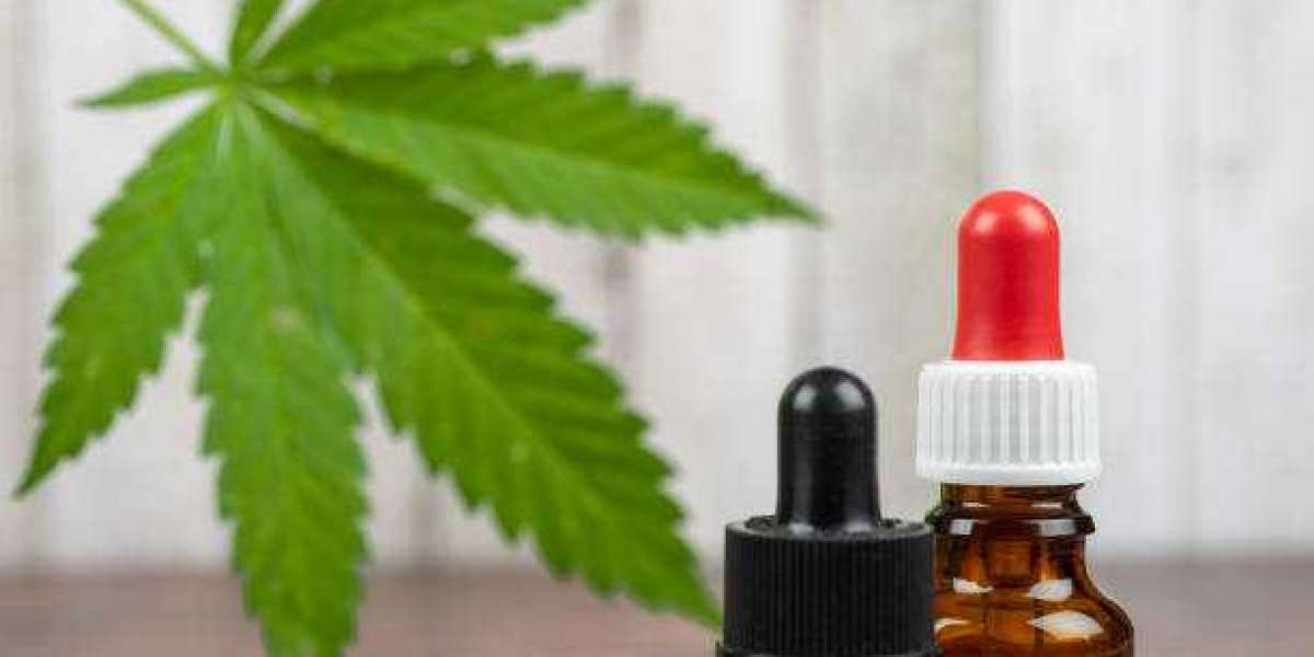 Understanding CBG vs CBD: What You Need to Know