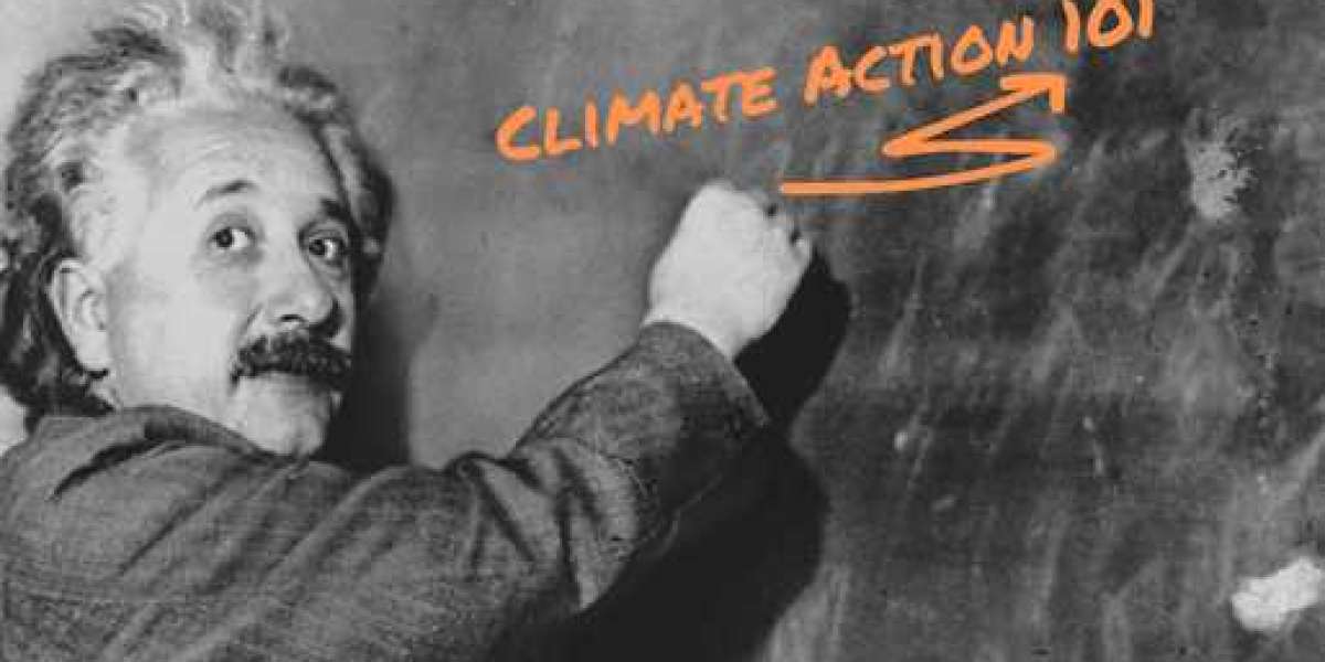 Aligning Your Efforts with Environmental Care Through Climate Action Organization