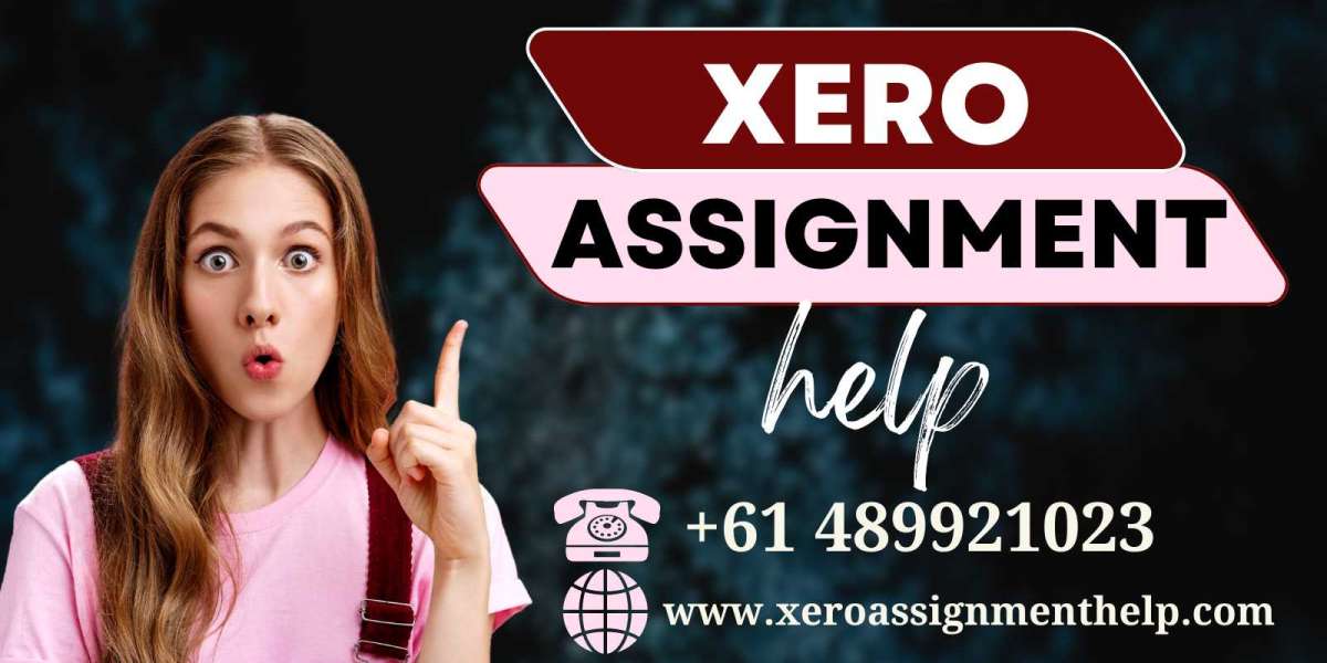 Top Grades with Xero Assignment Help - Learn How!