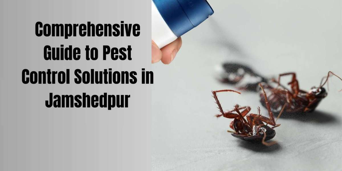 Comprehensive Guide to Pest Control Solutions in Jamshedpur