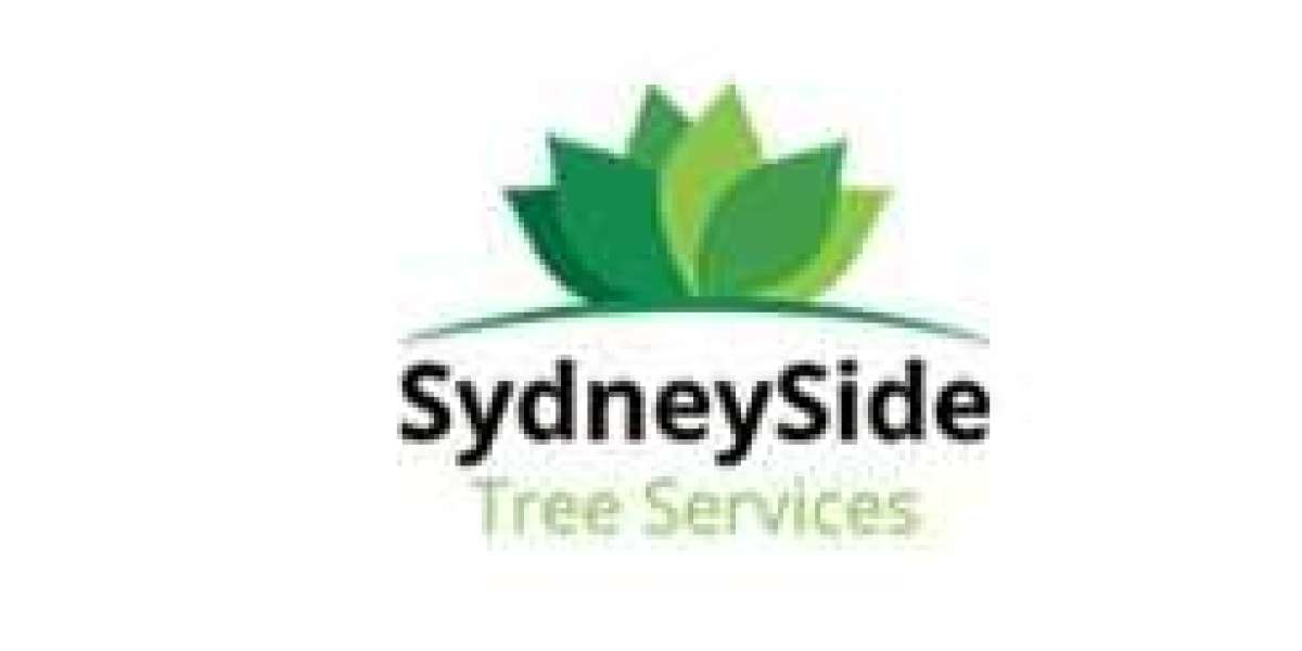 Searching for Emergency Tree Services Sydney?