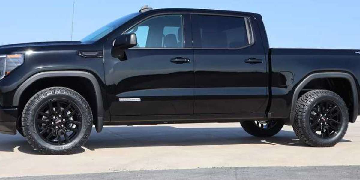 Black Truck Rental and Black Car Service Will Help You Have the Best San Diego Adventure Possible