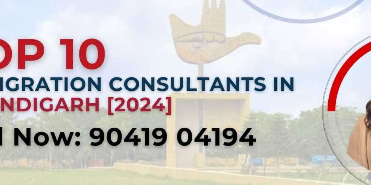 What Are the Fees and Services Offered by Visa Consultants in Chandigarh for Work Visas?