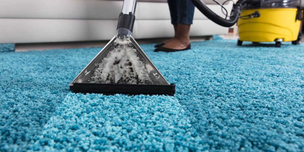 Elevate Your Living Space with Professional Carpet Cleaning