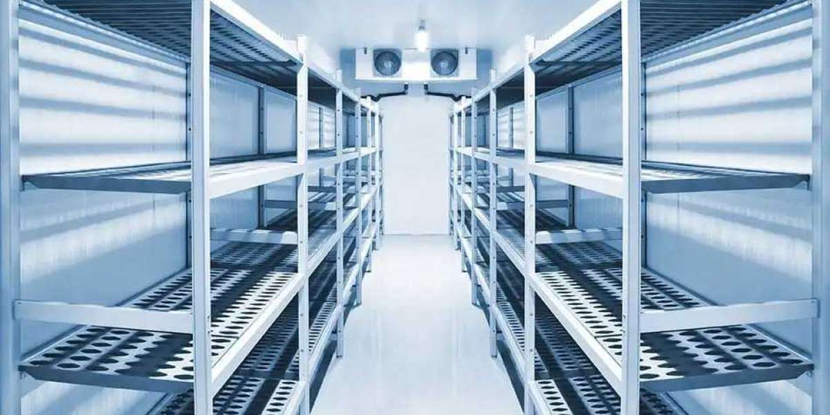 Urgent Need for Advanced Cold Storage Solutions: Real-Life Success Stories