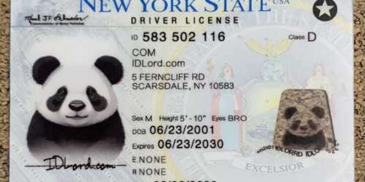 Unlock Your New York Adventure with a Custom Fake ID