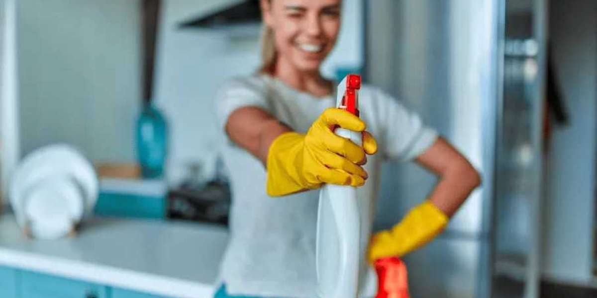 How to Choose the Best Cleaning Service for Your Raleigh Home