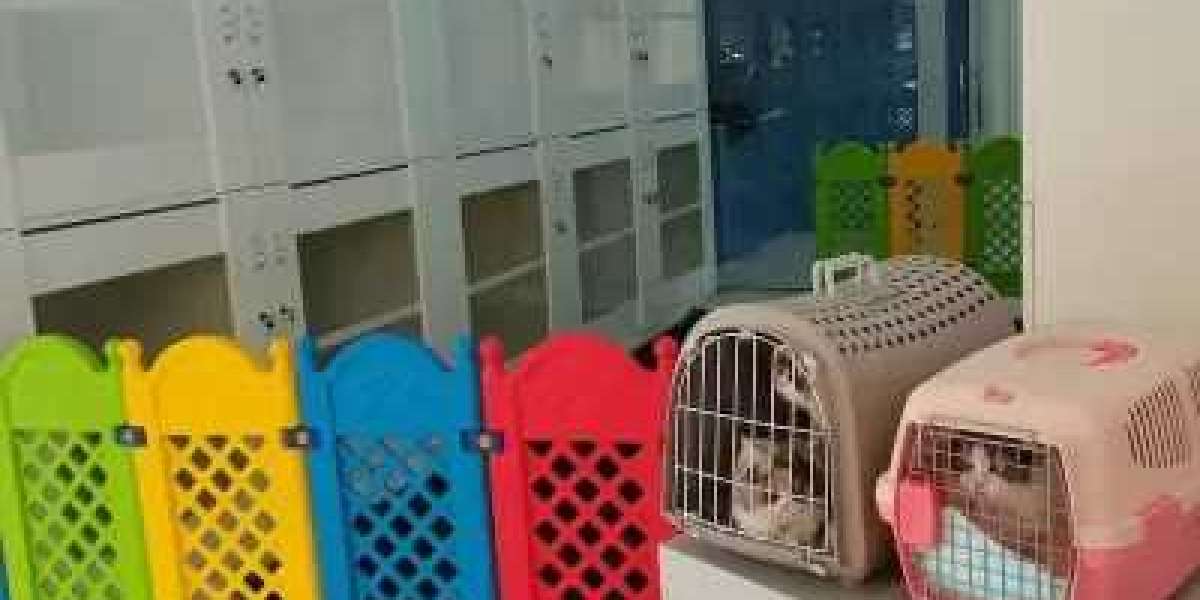 Why Tree Pet Salon Tops Sharjah’s Pet Boarding Services