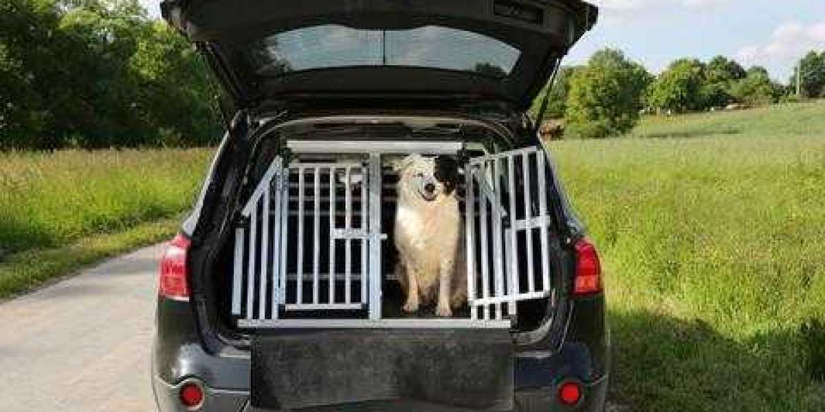 The Ultimate Guide to Dog Boxes for Utes: Enhance Your Vehicle with Practicality and Style