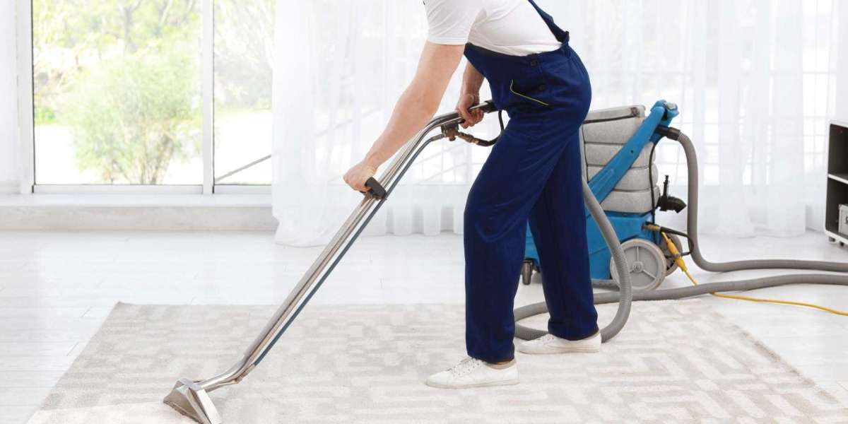 The Ultimate Guide to Home Comfort Through Professional Carpet Cleaning