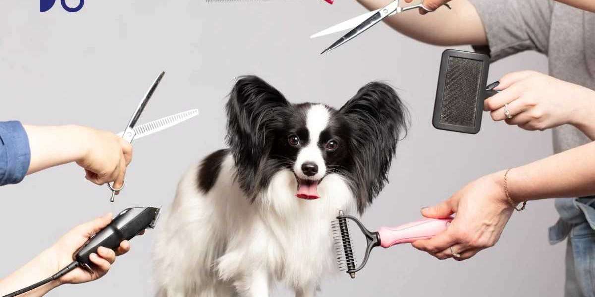 Abu Dhabi’s Best Dog Grooming Services: Treat Your Dog to Luxury Care