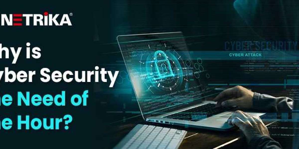 Cyber security services in India – Netrika Consulting