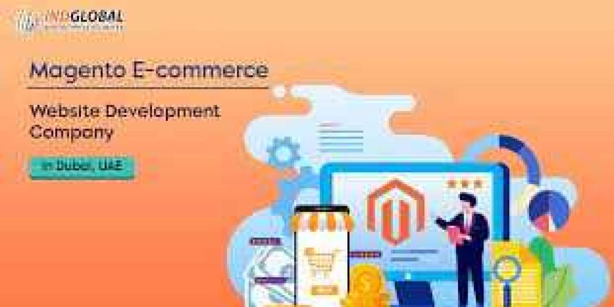 Magento Ecommerce Website Development Company in New York Offers Reliable Progress