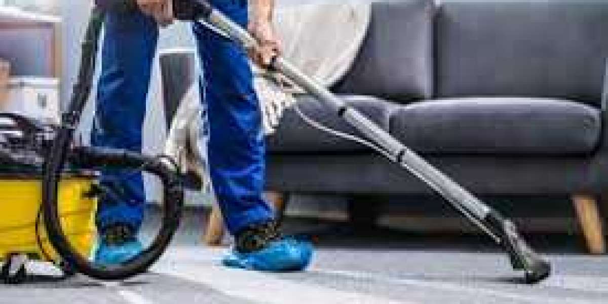 How Professional Carpet Cleaning Improves Home Comfort and Hygiene