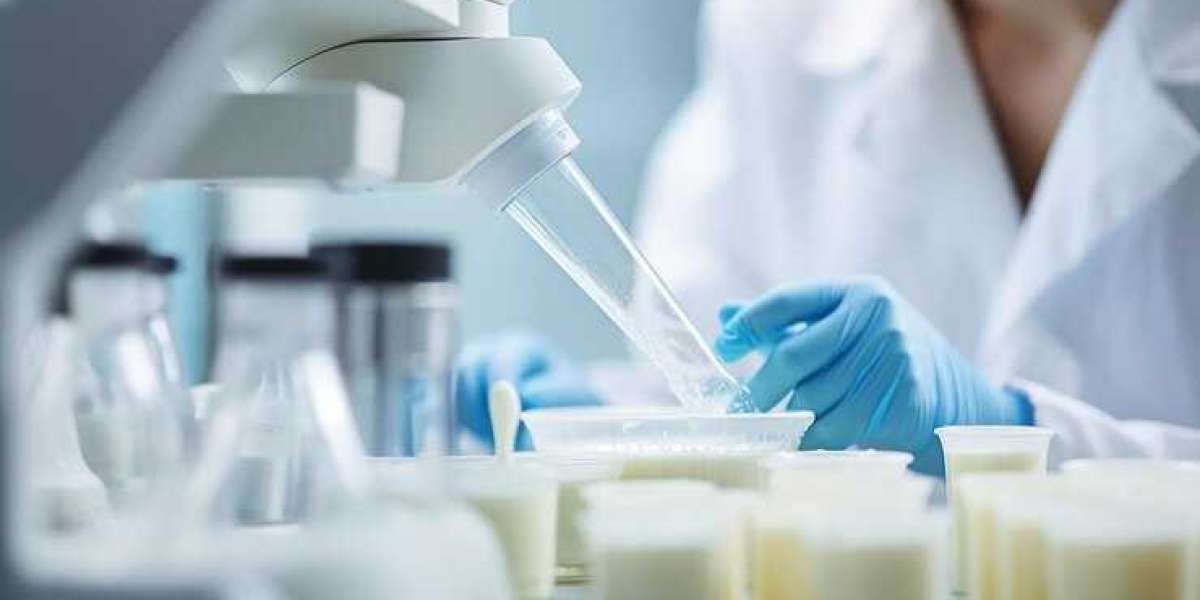 Why Protein Analysis Labs Are Crucial for Biotech Research