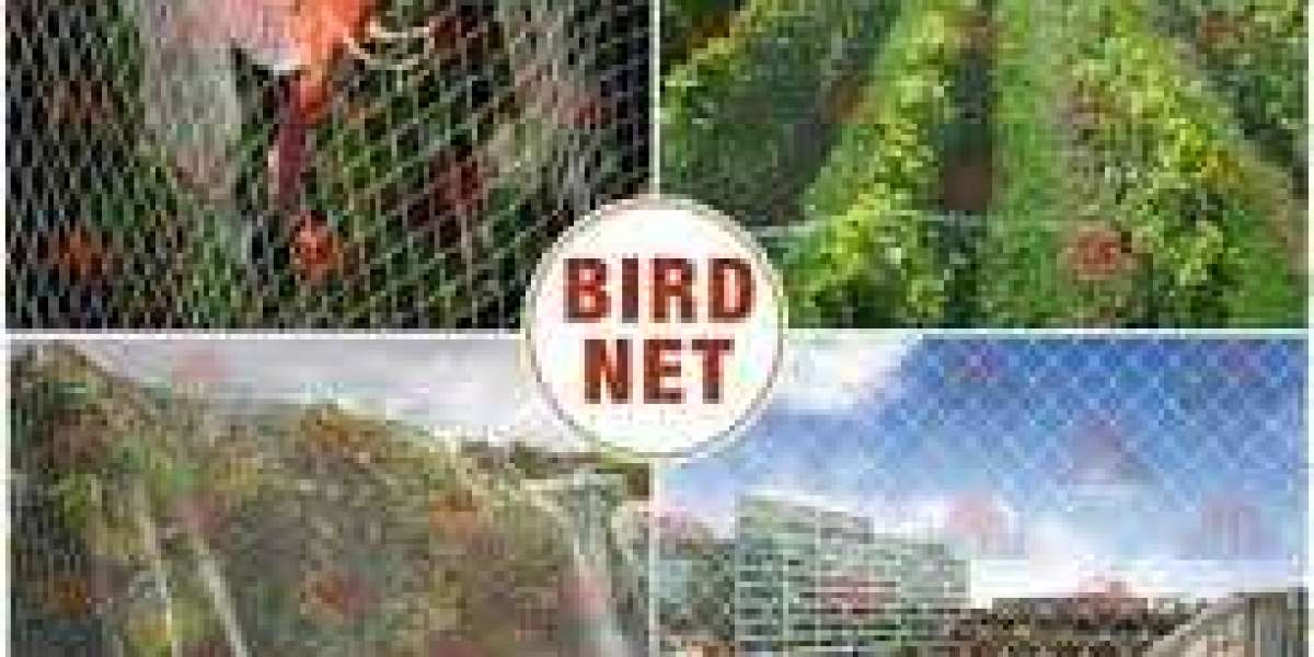 How Can We Find the Best Bird Nets Suppliers in Dubai?