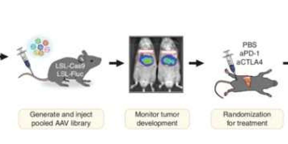 CRISPR Library Screening Strategies