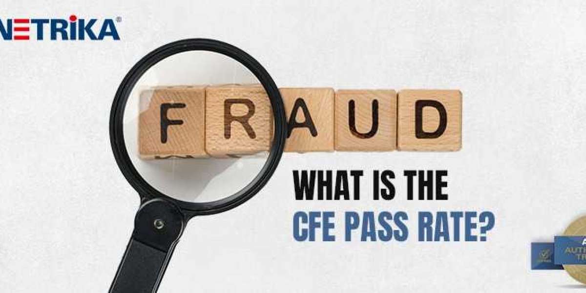 What is the function of CFE? - Netrika Consulting