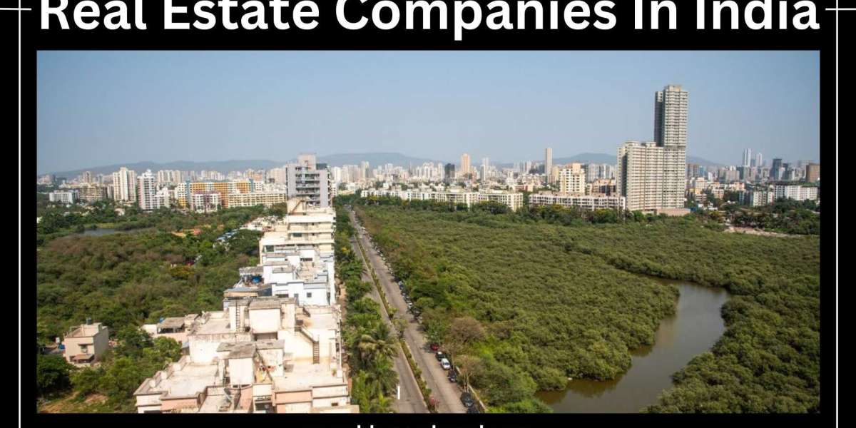 The Evolution, Growth, and Future of Real Estate Companies in India