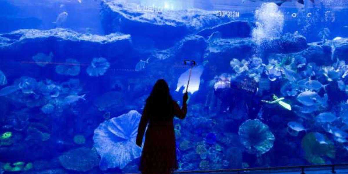 Discover Fascinating Marine Creatures at the Dubai Mall Underwater Zoo