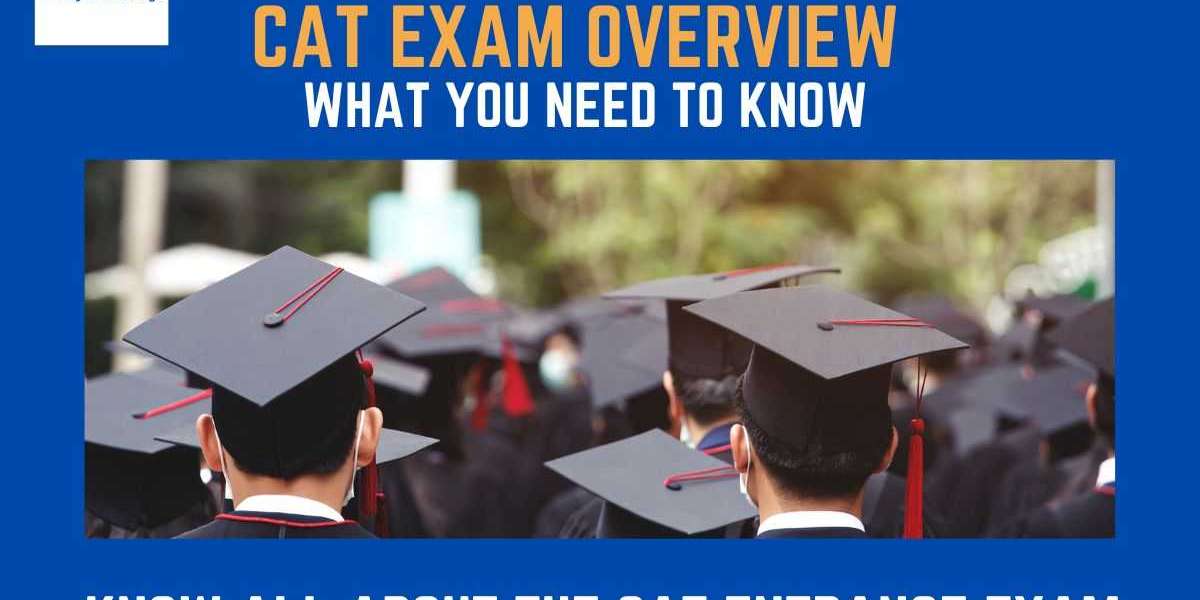 Understanding the CAT Exam Pattern: What You Need to Know