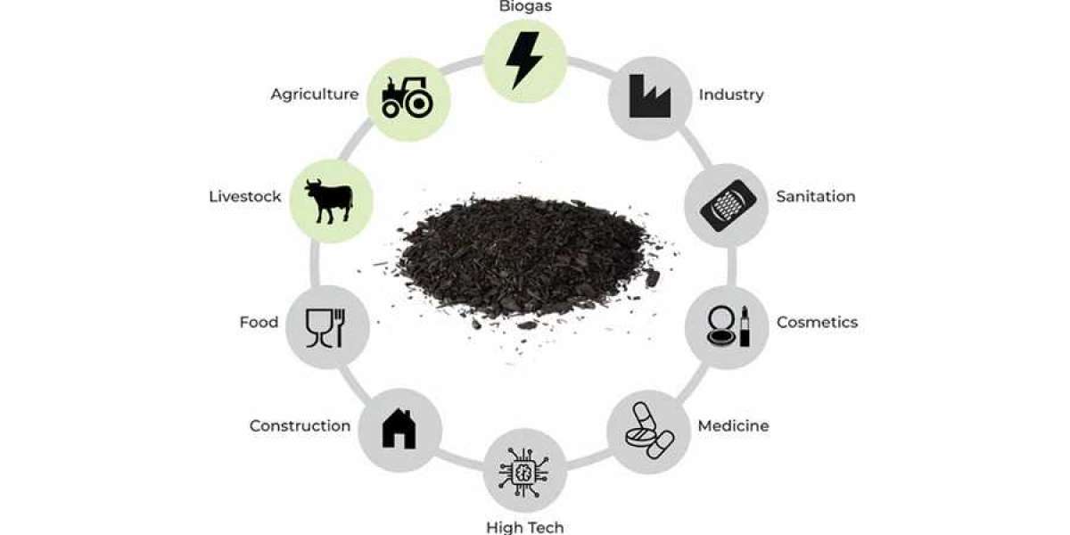 Biochar and Desalination: Solutions for Sustainable Gardening