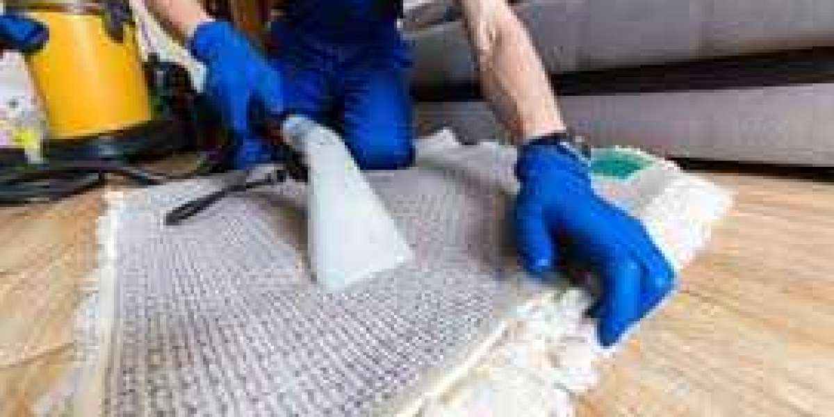 How Regular Carpet Cleaning Can Transform Your Home’s Comfort