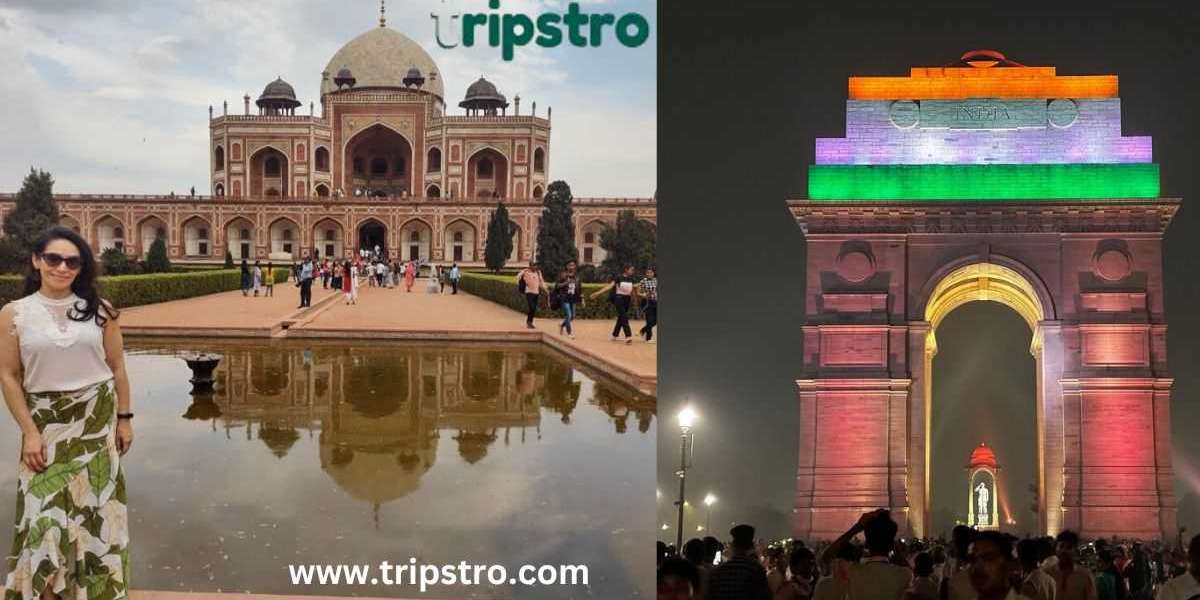 Explora la Vieja y Nueva Delhi: un recorrido de un día personalizado