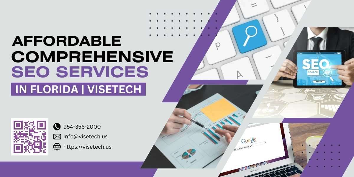 Affordable Comprehensive SEO Services in Florida | ViseTech