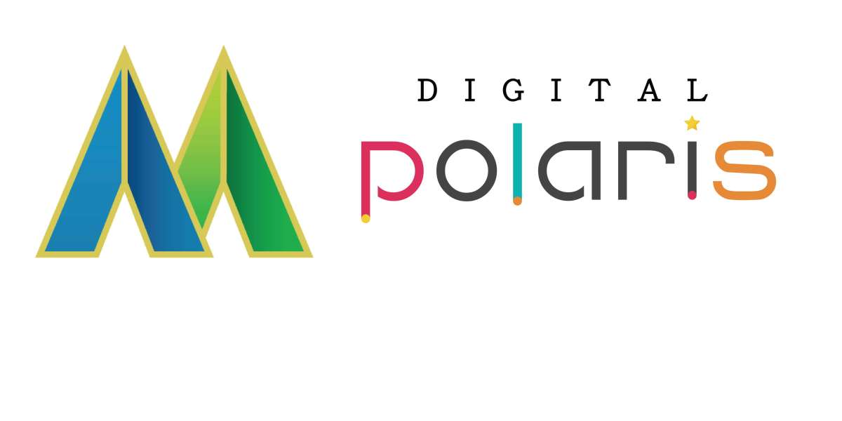 Digital Polaris: More Than Just a Website Development Company