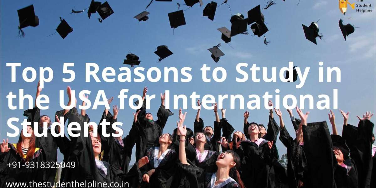 Top 5 Reasons to Study in the USA for International Students