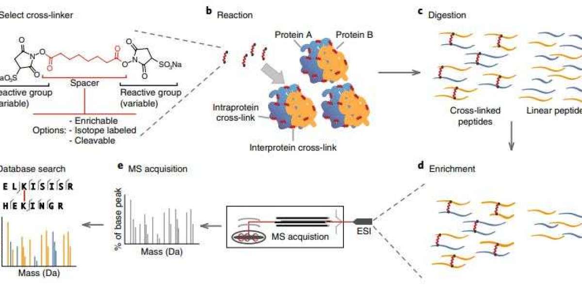 Advantages and Process of Chemical Crosslinking Mass Spectrometry