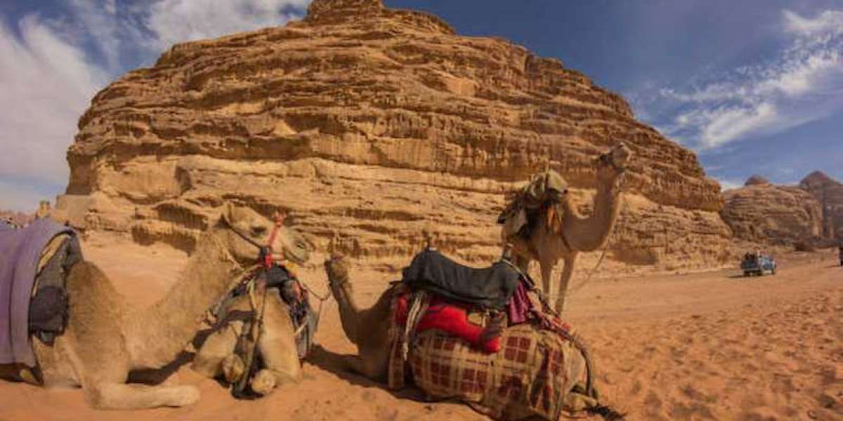 5 Places to visit in Jordan for the first timers