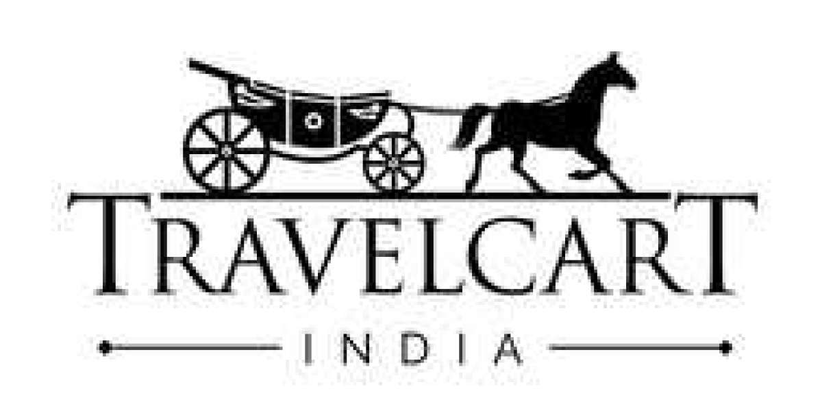 TravelCart India Pvt. Ltd.: Redefining Travel Experiences in Kerala and Beyond