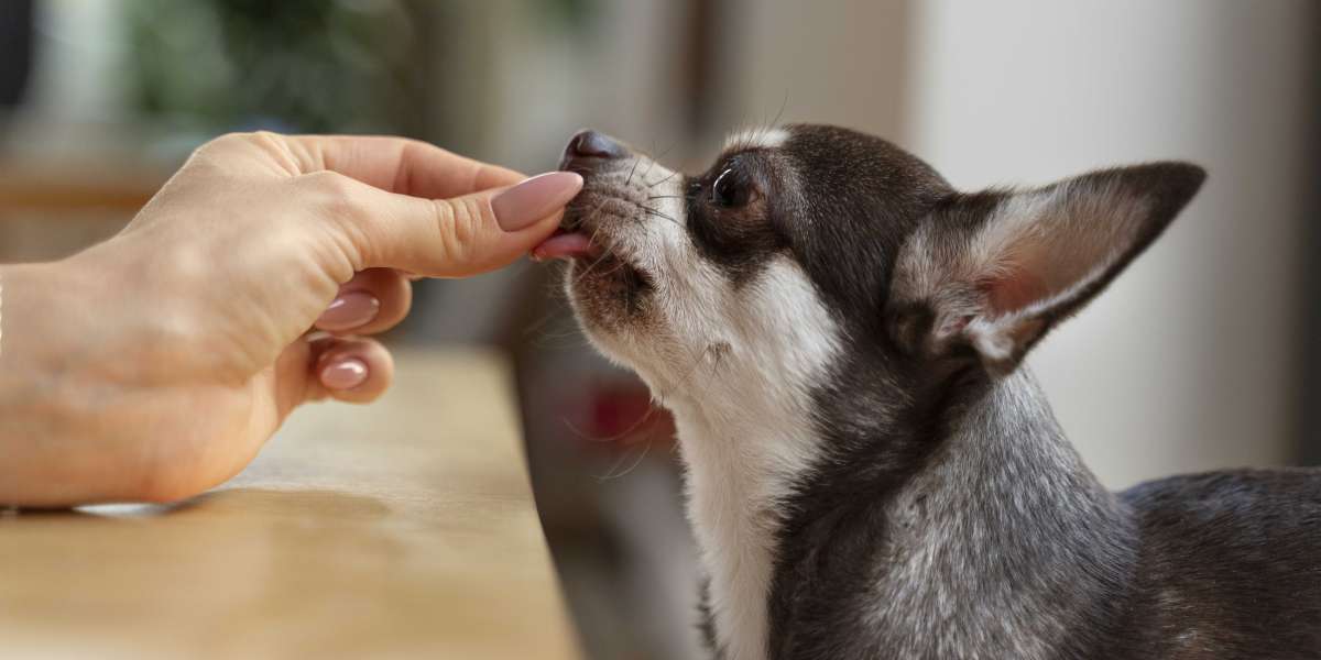 goat licking salt